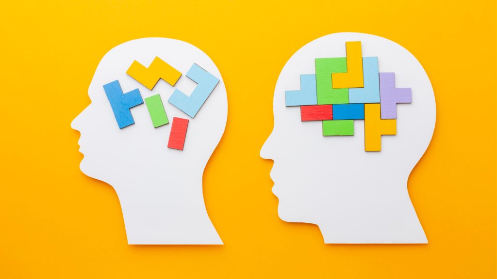 Differences in brain development
