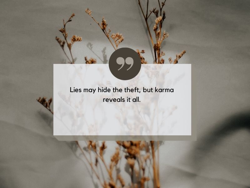 Karma Lies Quotes About Stealing