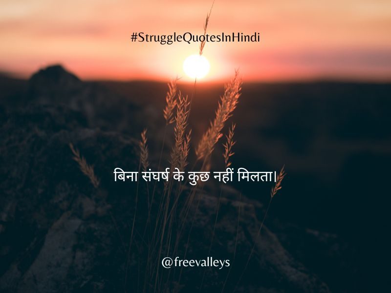 Struggle Quotes In Hindi